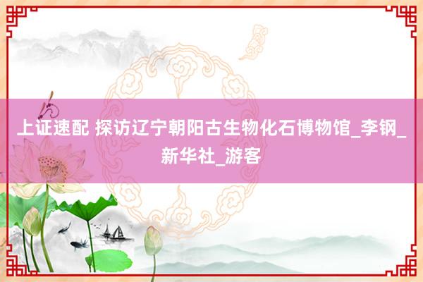 上证速配 探访辽宁朝阳古生物化石博物馆_李钢_新华社_游客