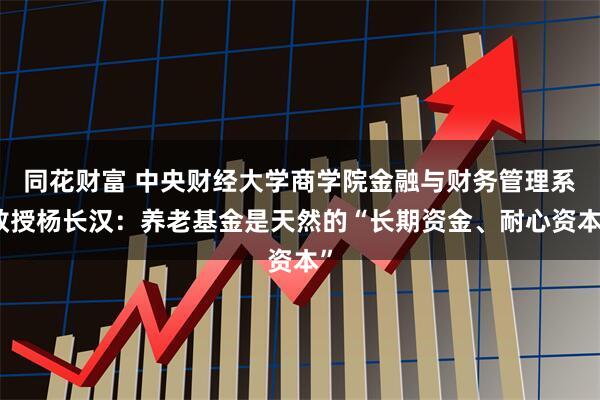 同花财富 中央财经大学商学院金融与财务管理系教授杨长汉：养老基金是天然的“长期资金、耐心资本”