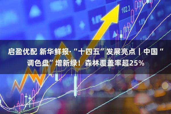 启盈优配 新华鲜报·“十四五”发展亮点|中国“调色盘”增新绿!森林覆盖率超25%