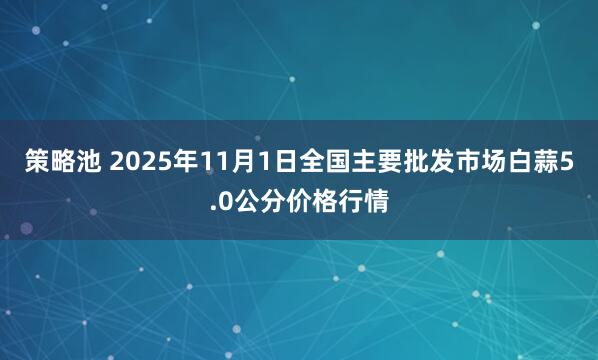 策略池 2025年11月1日全国主要批发市场白蒜5.0公分价格行情