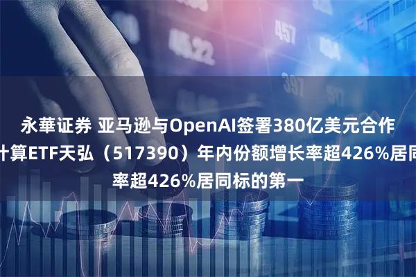 永華证券 亚马逊与OpenAI签署380亿美元合作协议，云计算ETF天弘（517390）年内份额增长率超426%居同标的第一