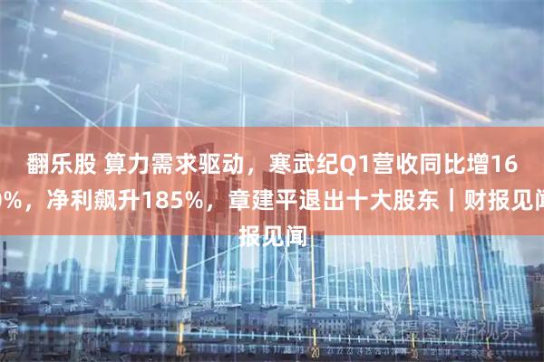 翻乐股 算力需求驱动，寒武纪Q1营收同比增160%，净利飙升185%，章建平退出十大股东｜财报见闻